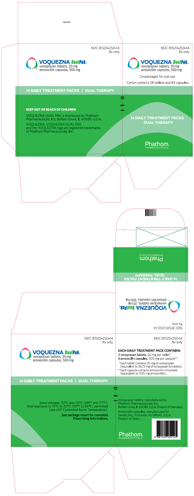 PRINCIPAL DISPLAY PANEL - Kit Carton - NDC 81520-250