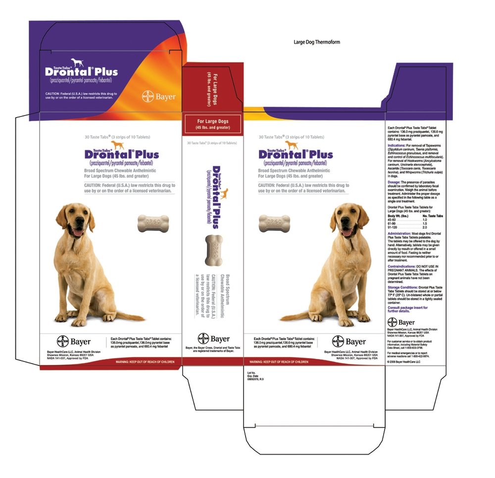 drontal plus 68 mg for dogs