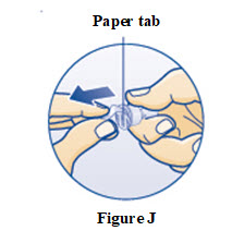 fig-j