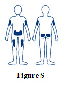 fig-s