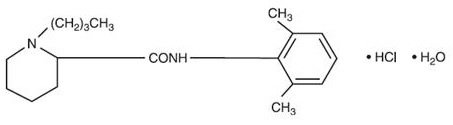 Bupi-1