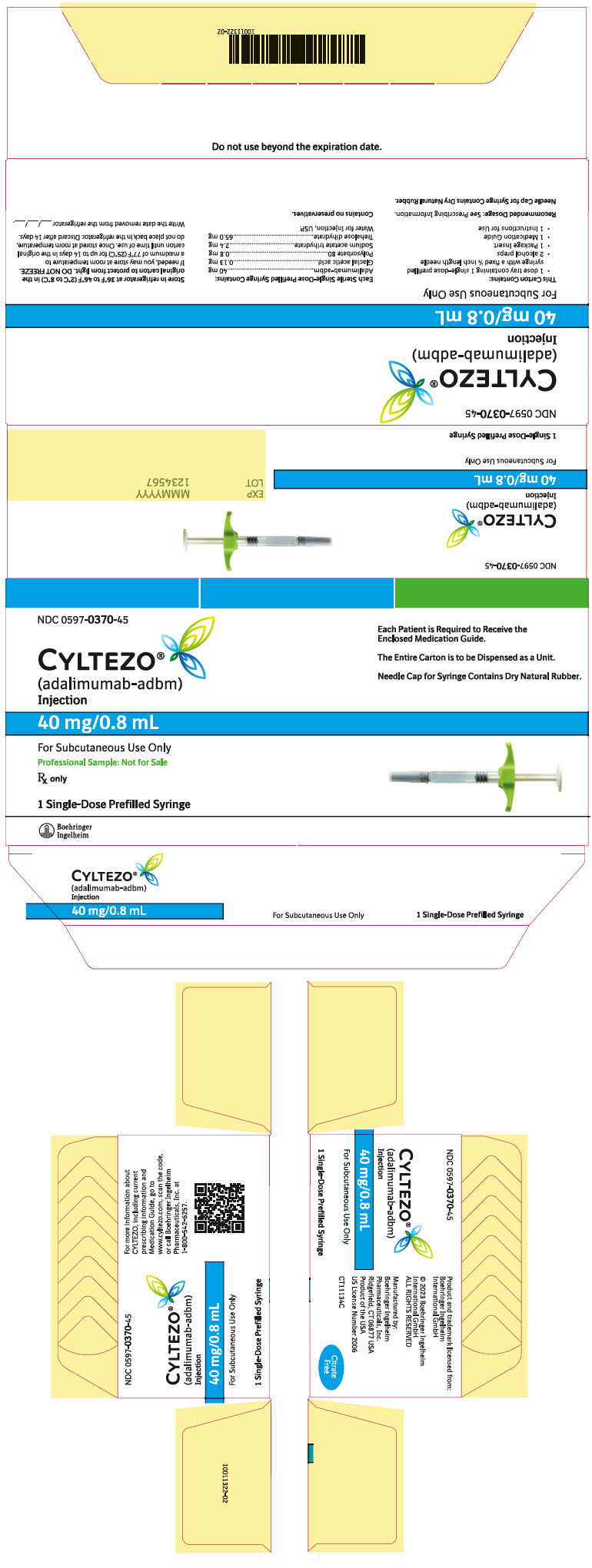 PRINCIPAL DISPLAY PANEL - Kit Carton - 0597-0370-45