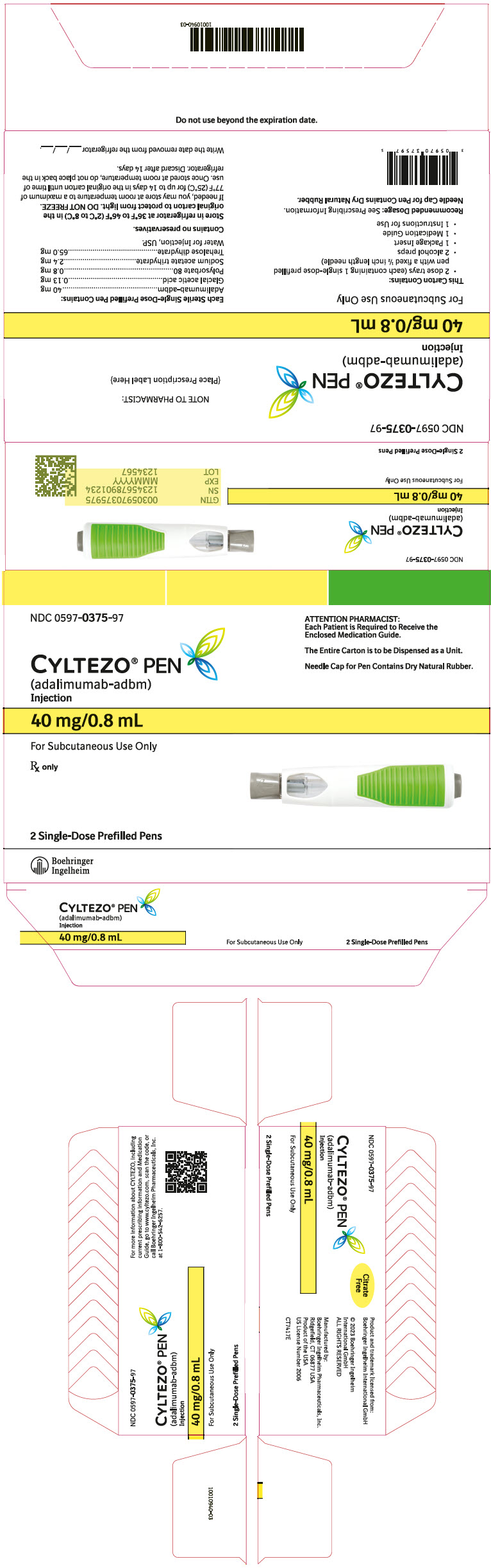 PRINCIPAL DISPLAY PANEL - Kit Carton - 0597-0375-97