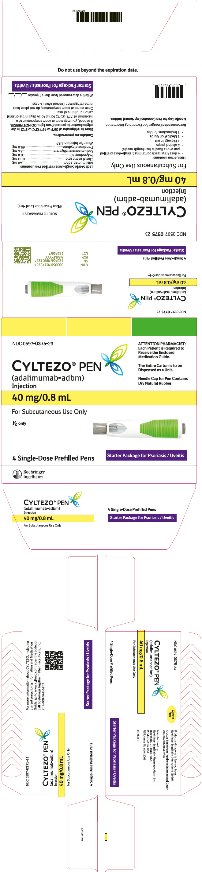 PRINCIPAL DISPLAY PANEL - Kit Carton - 0597-0375-23