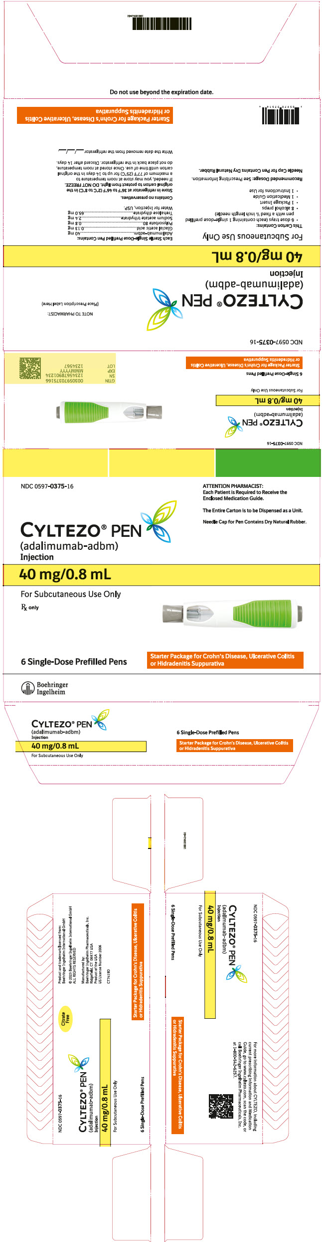 PRINCIPAL DISPLAY PANEL - Kit Carton - 0597-0375-16