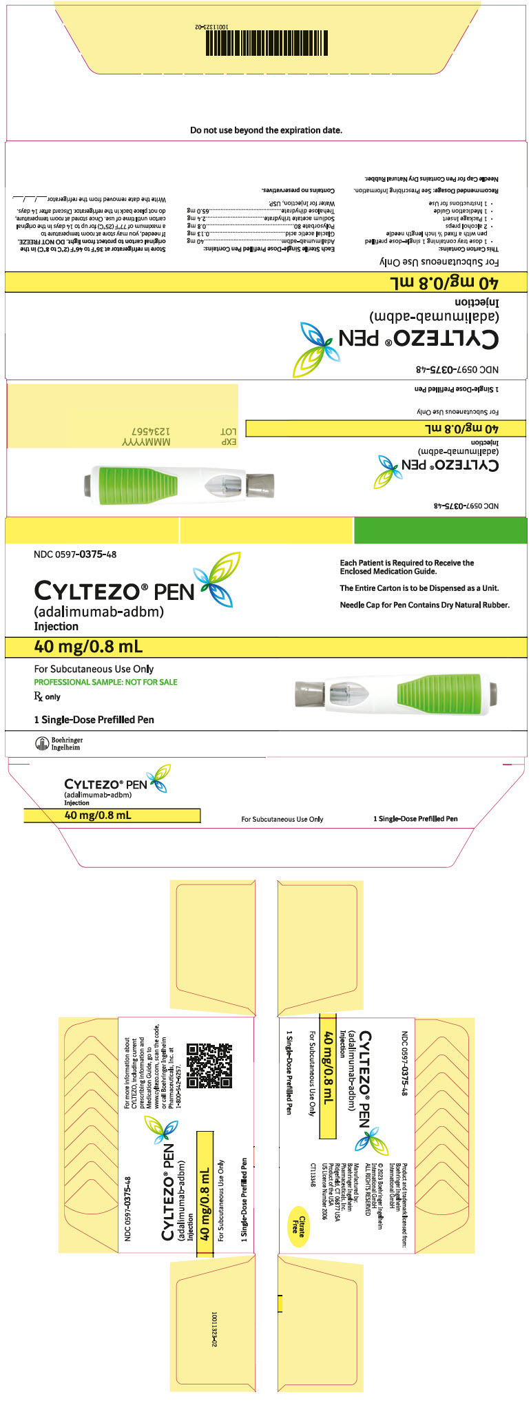 PRINCIPAL DISPLAY PANEL - Kit Carton - 0597-0375-48