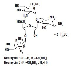 casporyn-hc-neomycin-struc1