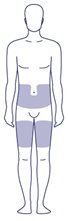 100-body.jpg