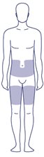 300-body.jpg