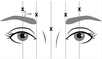 Figure 1-2