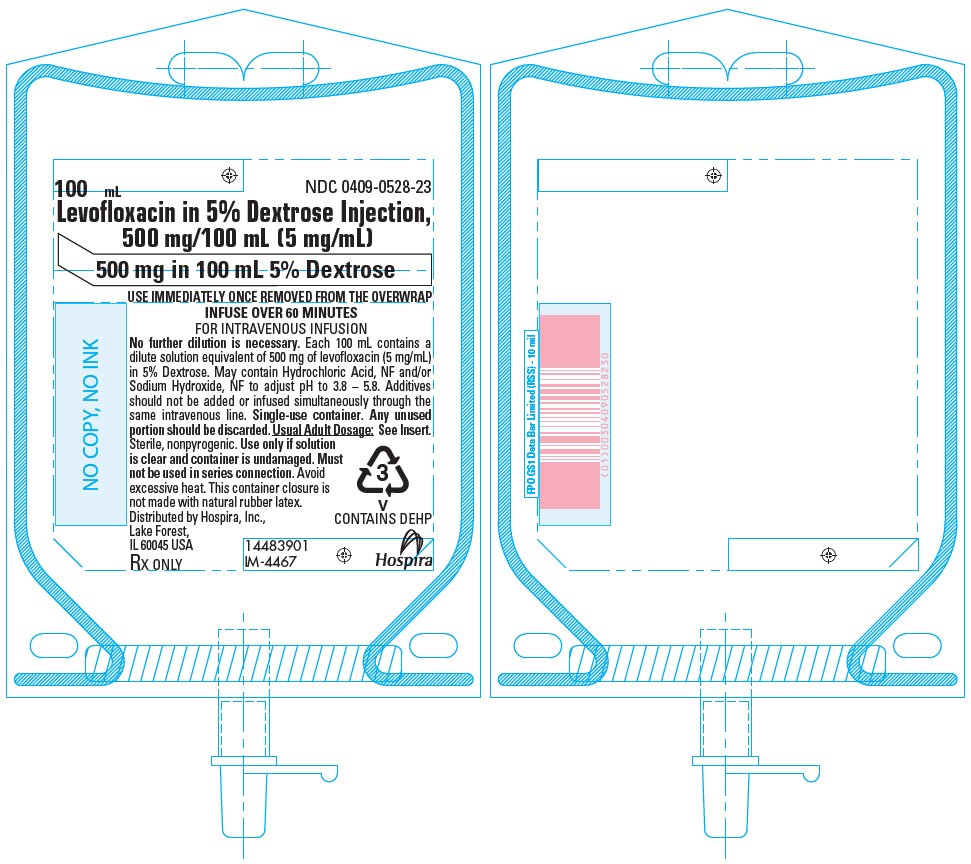 PRINCIPAL DISPLAY PANEL - 100 mL Bag