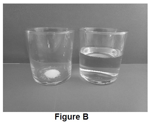 Figure B