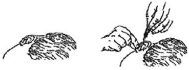 figure04