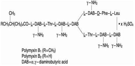 Chemical Structure