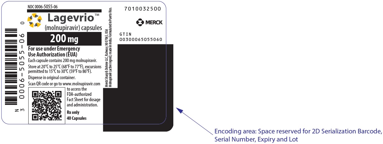 molnupiravir Bottle Label