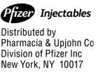 Pfizer Logo