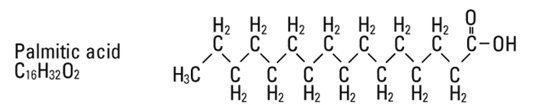 structural formula palmitic acid