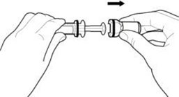 morph-img-03.jpg