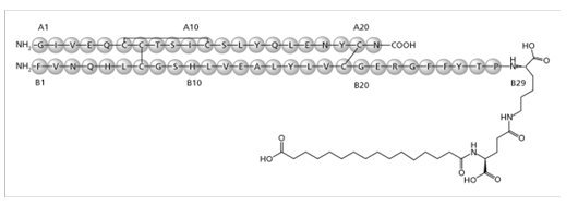 Figure 1: Structural Formula of Insulin degludec