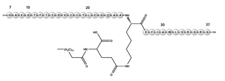 Figure 2: Structural formula of liraglutide