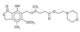 mycophenolate-structure-.jpg