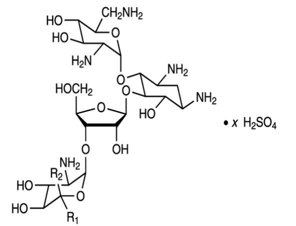 The chemical structure for the active ingredient Neomycin Sulfate