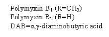 polymyxin-text