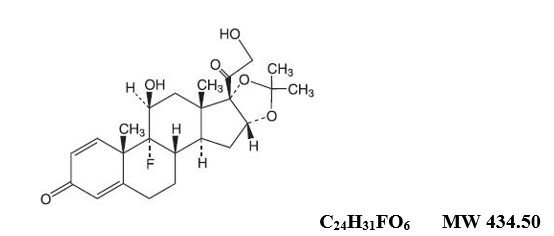 Triamcinolone Acetonide Dental Paste