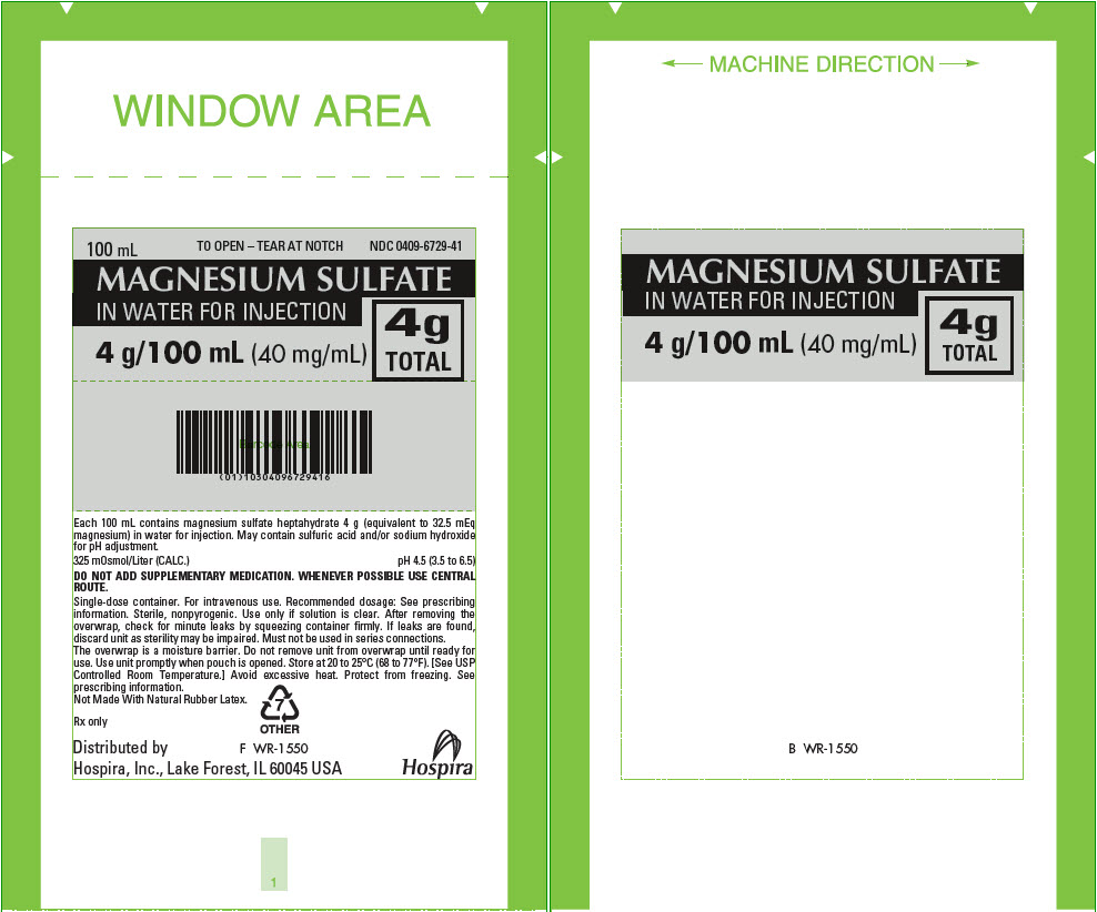 PRINCIPAL DISPLAY PANEL - 100 mL Bag Pouch Label