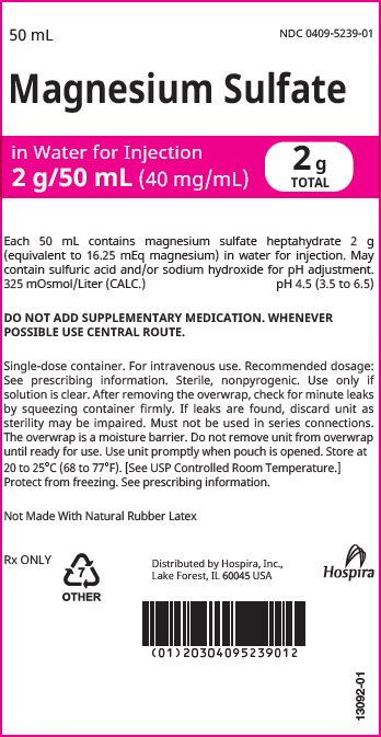 PRINCIPAL DISPLAY PANEL - 2 g/50 mL Bag Pouch Label - 0409-5239