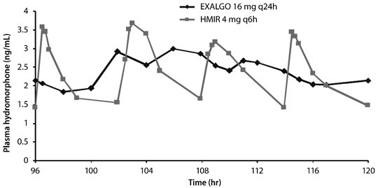 Mean Steady-State Plasma Concentration Profile