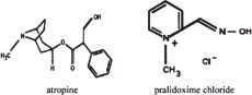 Structural Formula
