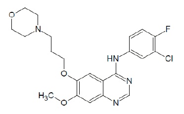 structure.jpg