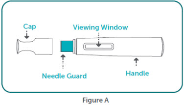 Figure D