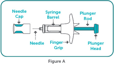 Figure D