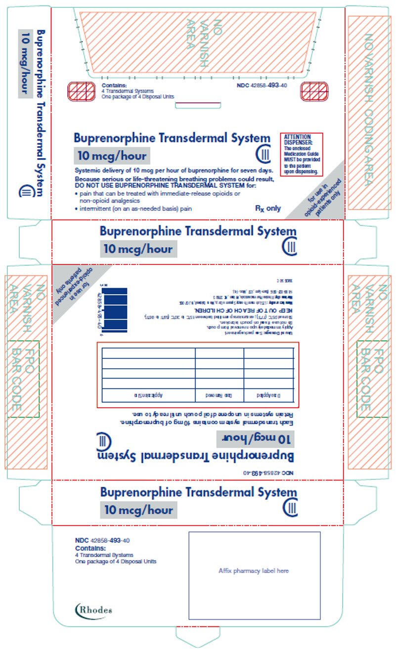 PRINCIPAL DISPLAY PANEL - 10 mcg/hour Patch Pouch Carton