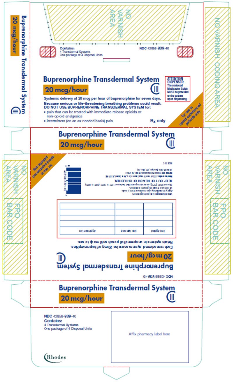 PRINCIPAL DISPLAY PANEL - 20 mcg/hour Patch Pouch Carton