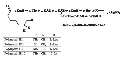 Corticosteroids dose in pregnancy