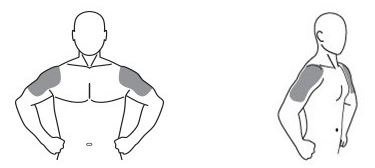 Testosterone Gel - FDA prescribing information, side effects and uses