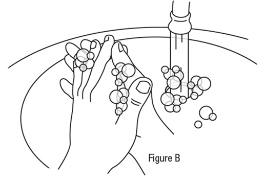 Figure B
