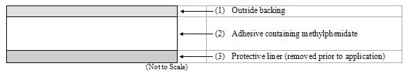 daytrana-figure-cross-section