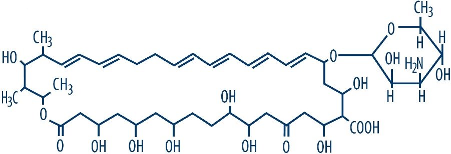 nystatinstructure