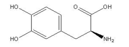 levodopa-structural-formula.jpg