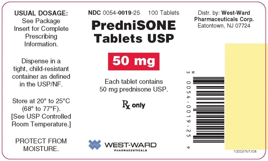 is 80mg of prednisone too much