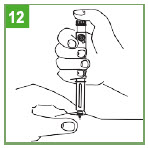 Step 12