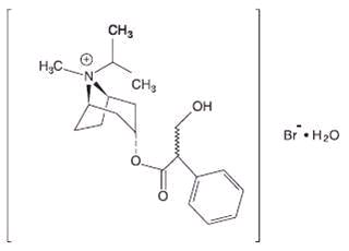 b5387e98-figure-02
