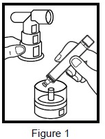 figure-1