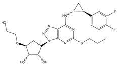 tica-tabs-structure