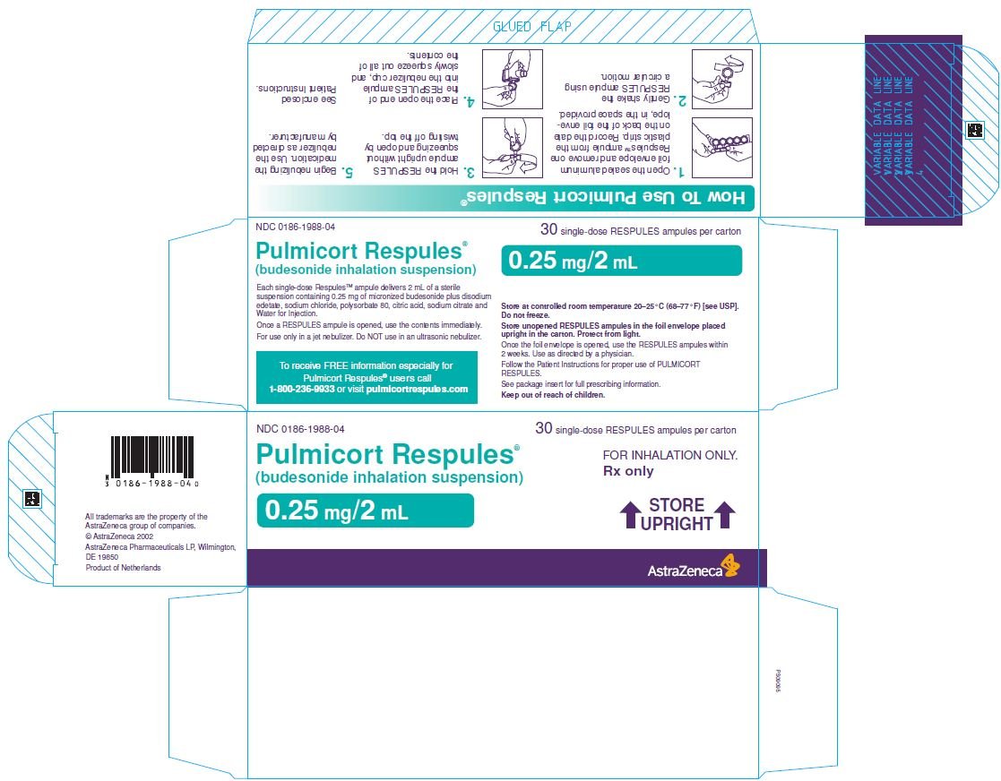 Pulmicort Respules 0.25 mg/2 mL Carton Label 30 single-dose RESPULES ampules per carton