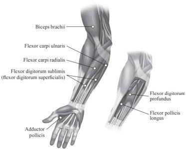 botox injections in leg muscle after stroke side effects botox injections in leg muscle after stroke side effects